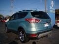 2013 Frosted Glass Metallic Ford Escape SEL 1.6L EcoBoost  photo #6