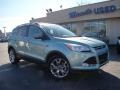 2013 Frosted Glass Metallic Ford Escape SEL 1.6L EcoBoost  photo #28