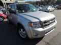 Ingot Silver Metallic - Escape XLT Photo No. 1