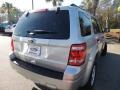 Ingot Silver Metallic - Escape XLT Photo No. 15