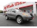 Steel Gray 2009 Hyundai Santa Fe SE