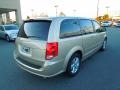 2013 Sandstone Dodge Grand Caravan SE  photo #4