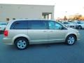 Sandstone - Grand Caravan SE Photo No. 5