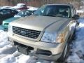 2002 Harvest Gold Metallic Ford Explorer XLT 4x4  photo #5