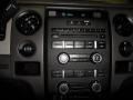 2010 Sterling Grey Metallic Ford F150 XL SuperCrew  photo #14