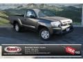 Magnetic Gray Metallic - Tacoma Regular Cab Photo No. 1