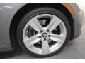 2009 Space Grey Metallic BMW 3 Series 335xi Coupe  photo #9