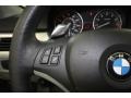2009 Space Grey Metallic BMW 3 Series 335xi Coupe  photo #27