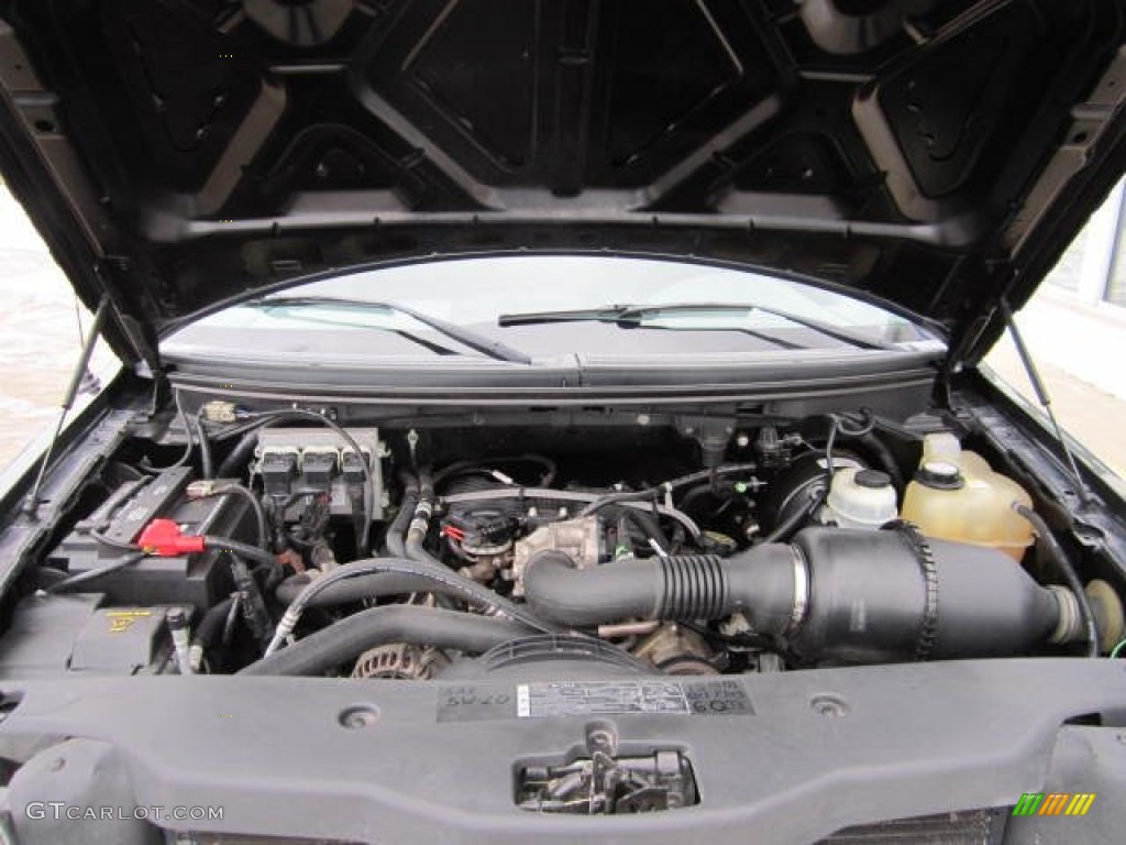 2005 Ford F150 STX Regular Cab 4.2 Liter OHV 12V Essex V6 Engine Photo #75501392