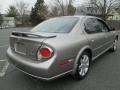 Sheer Silver - Maxima GLE Photo No. 7