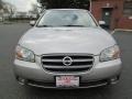 Sheer Silver - Maxima GLE Photo No. 12
