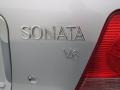 Bright Silver - Sonata GLS V6 Photo No. 19
