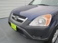 2004 Eternal Blue Pearl Honda CR-V EX 4WD  photo #9