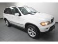 Alpine White - X5 3.0i Photo No. 8