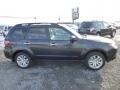 2013 Dark Gray Metallic Subaru Forester 2.5 X Premium  photo #8