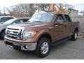 Golden Bronze Metallic 2012 Ford F150 XLT SuperCrew 4x4 Exterior