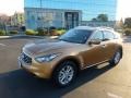 2009 Mojave Copper Infiniti FX 35  photo #10