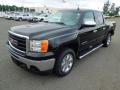 Onyx Black - Sierra 1500 SLT Crew Cab 4x4 Photo No. 1