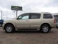 Kashmir Beige Metallic - QX 56 Photo No. 2