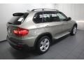 Platinum Bronze Metallic - X5 xDrive30i Photo No. 10