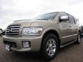 Kashmir Beige Metallic - QX 56 Photo No. 9