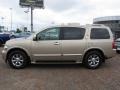 Kashmir Beige Metallic - QX 56 Photo No. 10