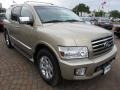 Kashmir Beige Metallic - QX 56 Photo No. 15