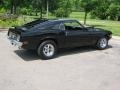 Raven Black - Mustang Fastback Photo No. 8