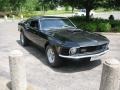 Raven Black - Mustang Fastback Photo No. 10