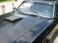 Raven Black - Mustang Fastback Photo No. 14