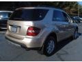 Desert Silver Metallic - ML 350 4Matic Photo No. 6