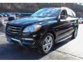 Black - ML 350 4Matic Photo No. 1