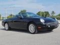 Evening Black 2004 Ford Thunderbird Deluxe Roadster