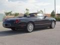 Evening Black - Thunderbird Deluxe Roadster Photo No. 3