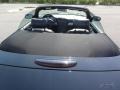 Evening Black - Thunderbird Deluxe Roadster Photo No. 27