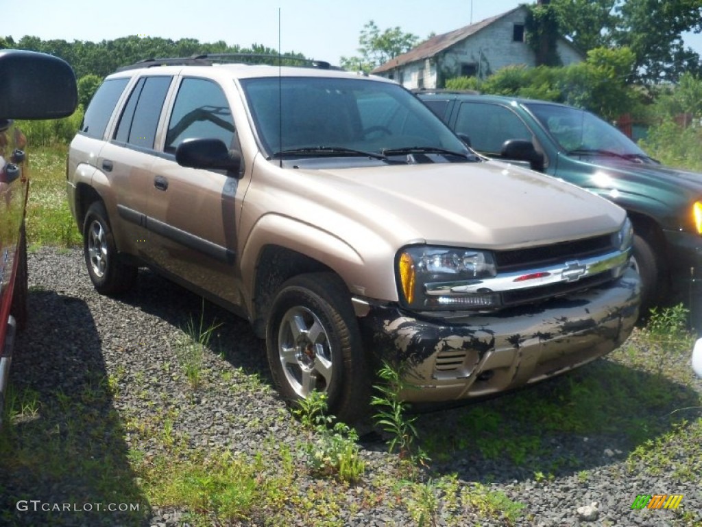 2005 TrailBlazer LS 4x4 - Sandstone Metallic / Light Cashmere/Ebony photo #1