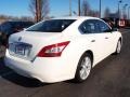 Winter Frost White - Maxima 3.5 S Photo No. 3