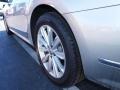 Platinum Gray Metallic - Passat 2.5L SEL Photo No. 4