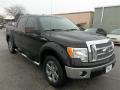 Tuxedo Black - F150 Lariat SuperCrew Photo No. 1
