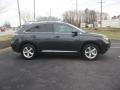 Smokey Granite Mica - RX 350 AWD Photo No. 3