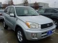 Titanium Metallic - RAV4 4WD Photo No. 1
