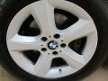 Titanium Silver Metallic - X5 3.0si Photo No. 13