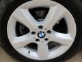 Titanium Silver Metallic - X5 3.0si Photo No. 15