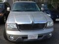 Charcoal Beige Metallic - Aviator Luxury AWD Photo No. 2
