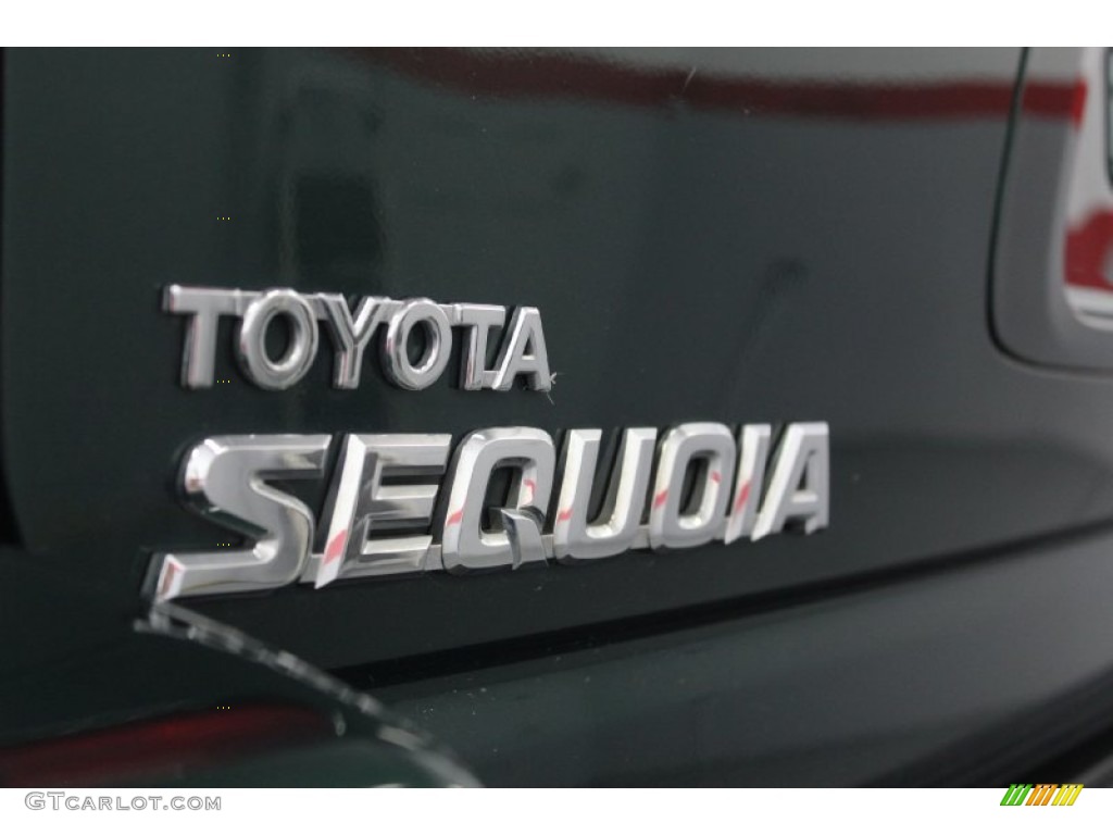 2004 Sequoia Limited 4x4 - Imperial Jade Green Mica / Charcoal photo #83