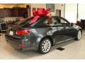 Smoky Granite Mica - IS 250 AWD Photo No. 4