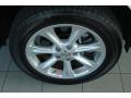 Mercury Metallic - LS 460 Photo No. 9