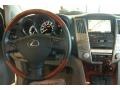 Mercury Metallic - LS 460 Photo No. 21