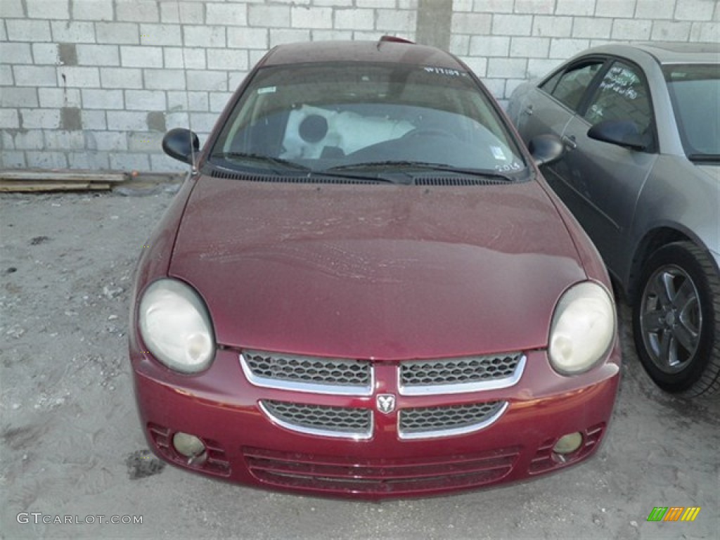 2003 Neon SXT - Blaze Red Crystal Pearl / Dark Slate Gray photo #2