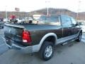 Sagebrush Pearl - Ram 2500 HD Laramie Mega Cab 4x4 Photo No. 5